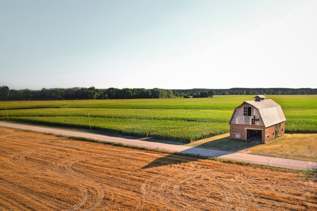 A Barn Near Cropland